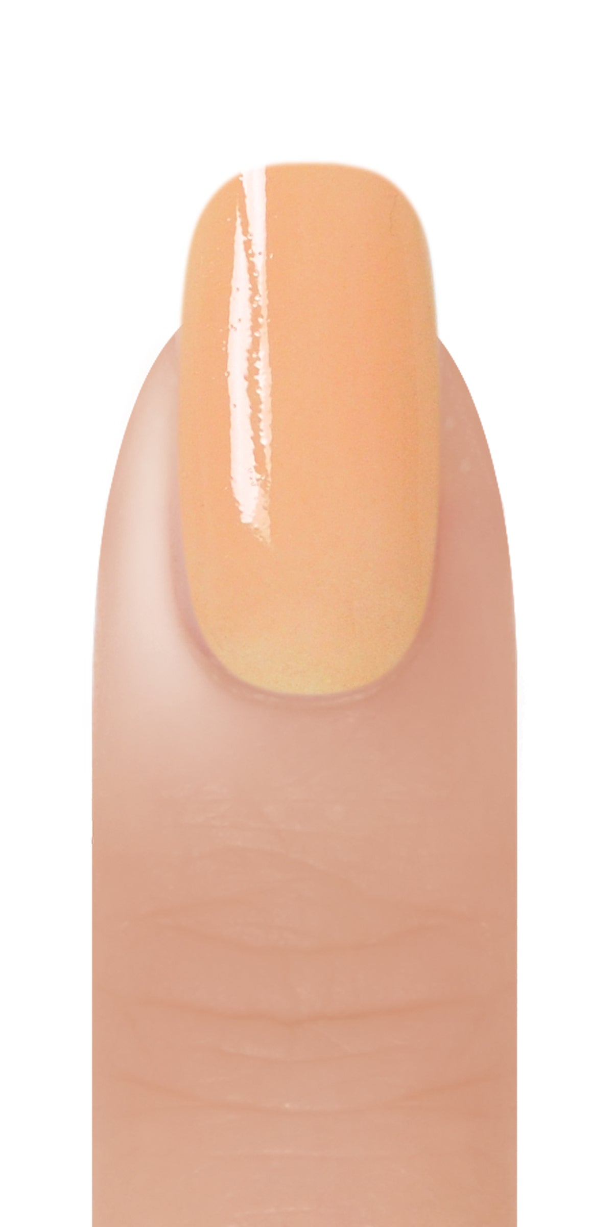 Le'K Dip - Apricot Ice - 1 oz