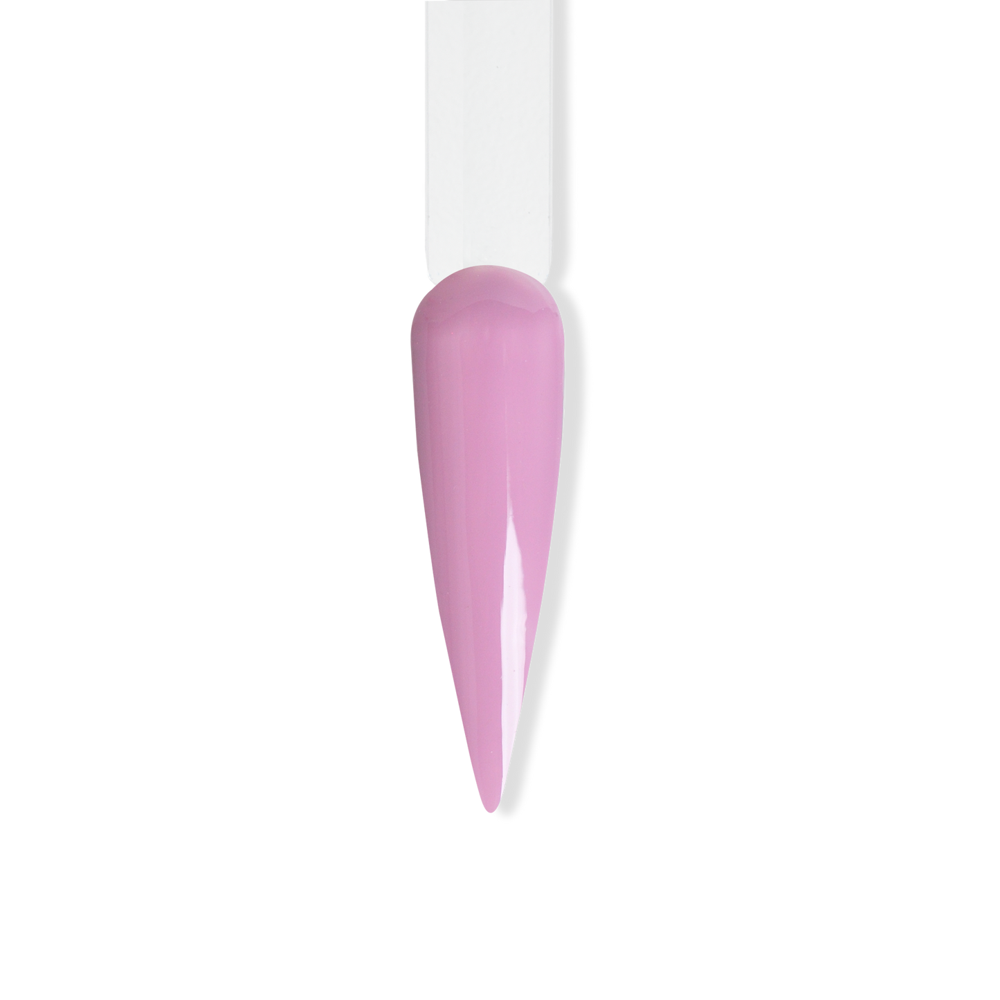 Le'K Duo - Lace Panties - 0.5/0.5 oz