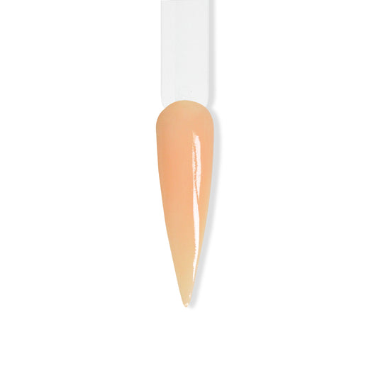 Le'K Dip - Apricot Ice - 1 oz